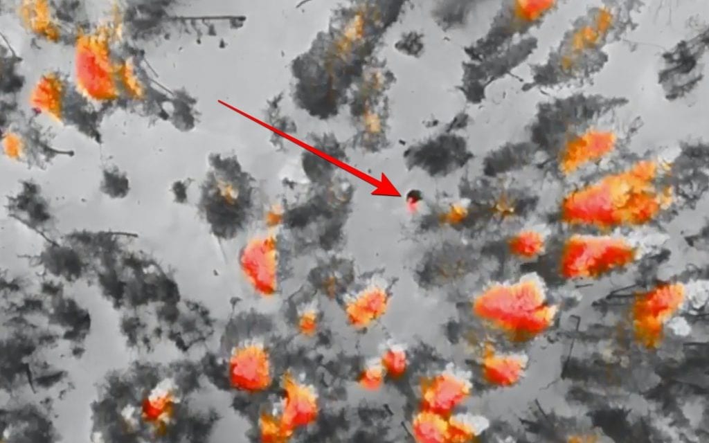 Thermal drone imagery of woodland with a red arrow marking a lone heat signature.