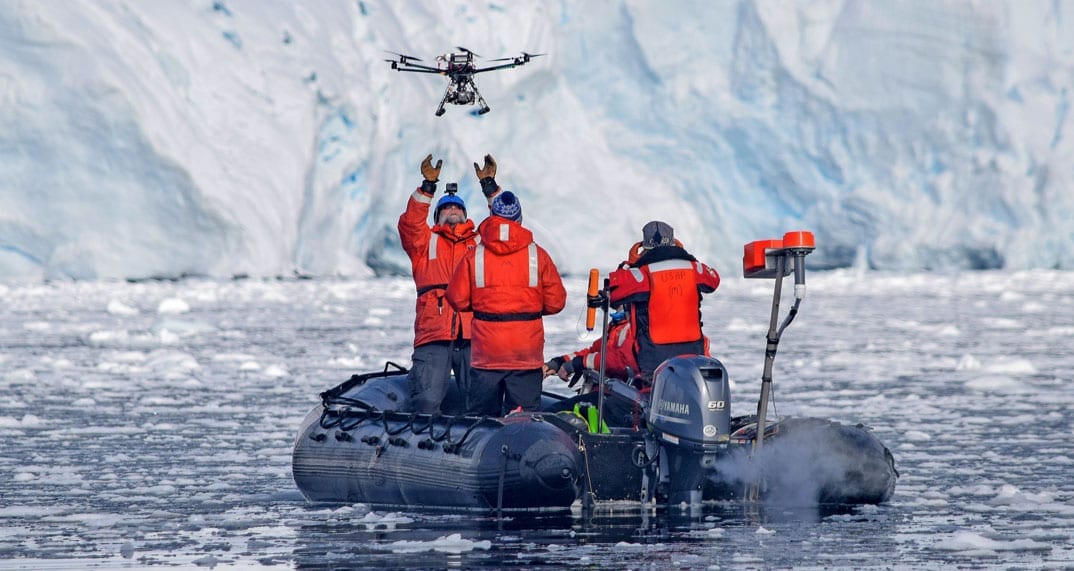 Aerial drone image of a humpback whale near the surface used for body measurements.