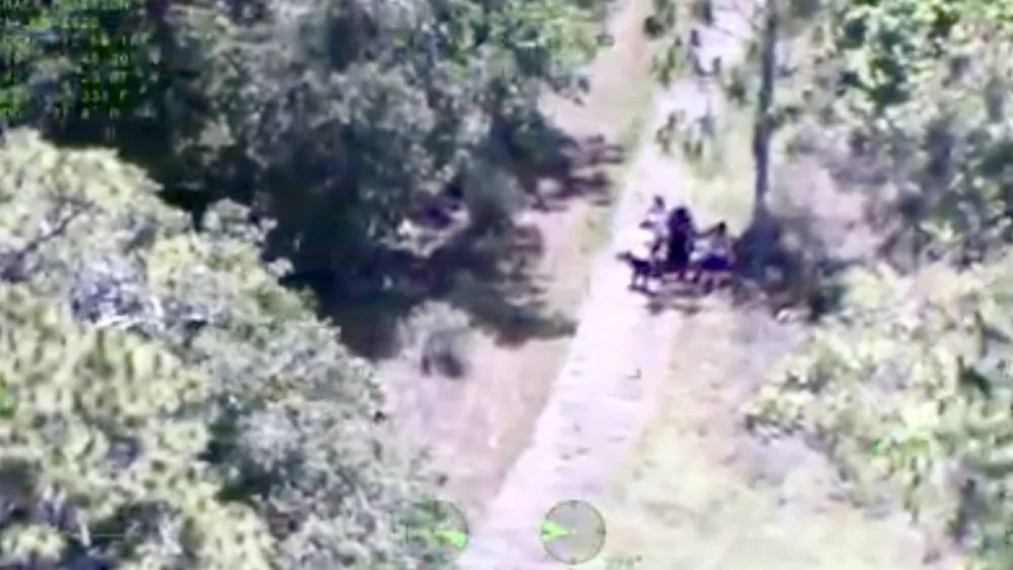 Aerial search footage with telemetry overlay showing a lost hiking family on a wooded trail.