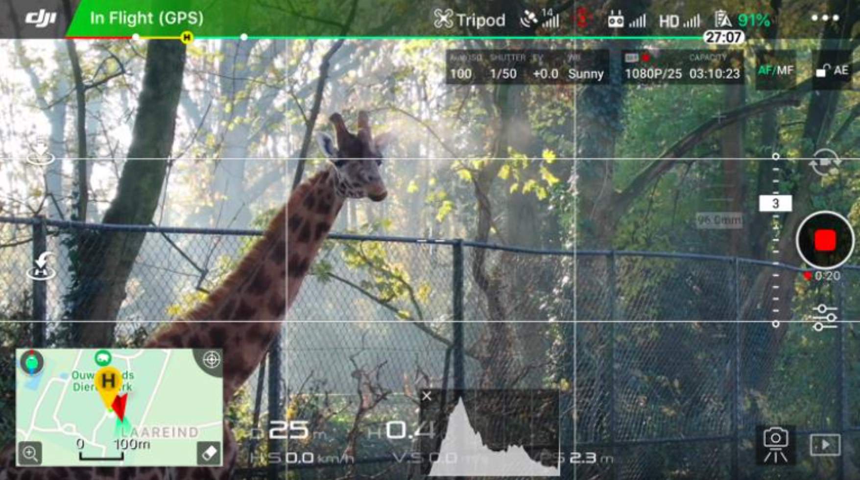 Aerial drone shot filmed at Ouwehands Zoo for the Dutch TV series Real Life in the Zoo.