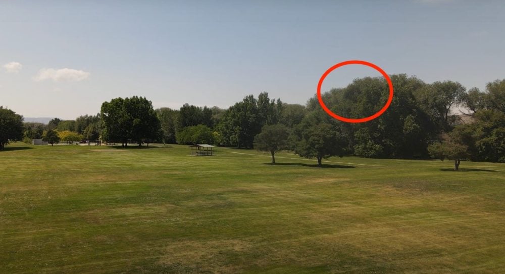 Grassy park with a red circle marking a distant object above the treeline.