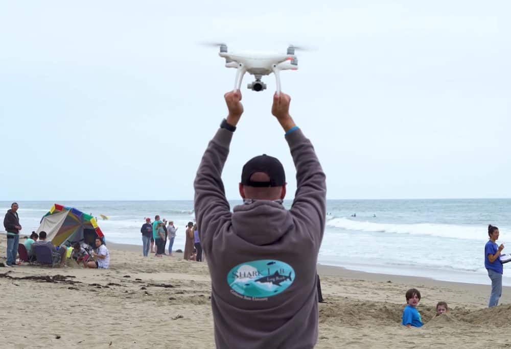 Aerial drone view of a great white shark swimming along the California coastline.