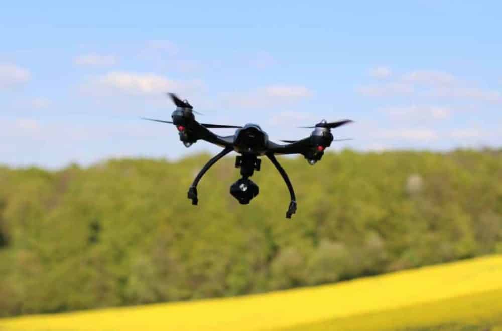 Black quadcopter with a gimbal camera hovering above a yellow rapeseed field.