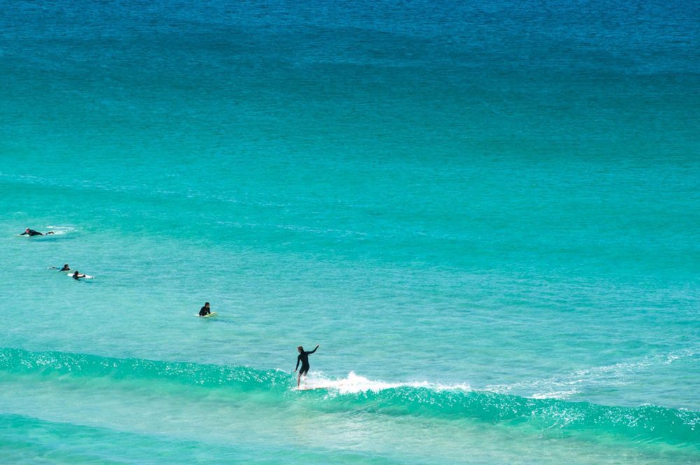 Drone footage of a great white shark swimming off Bondi Beach in Sydney, Australia.