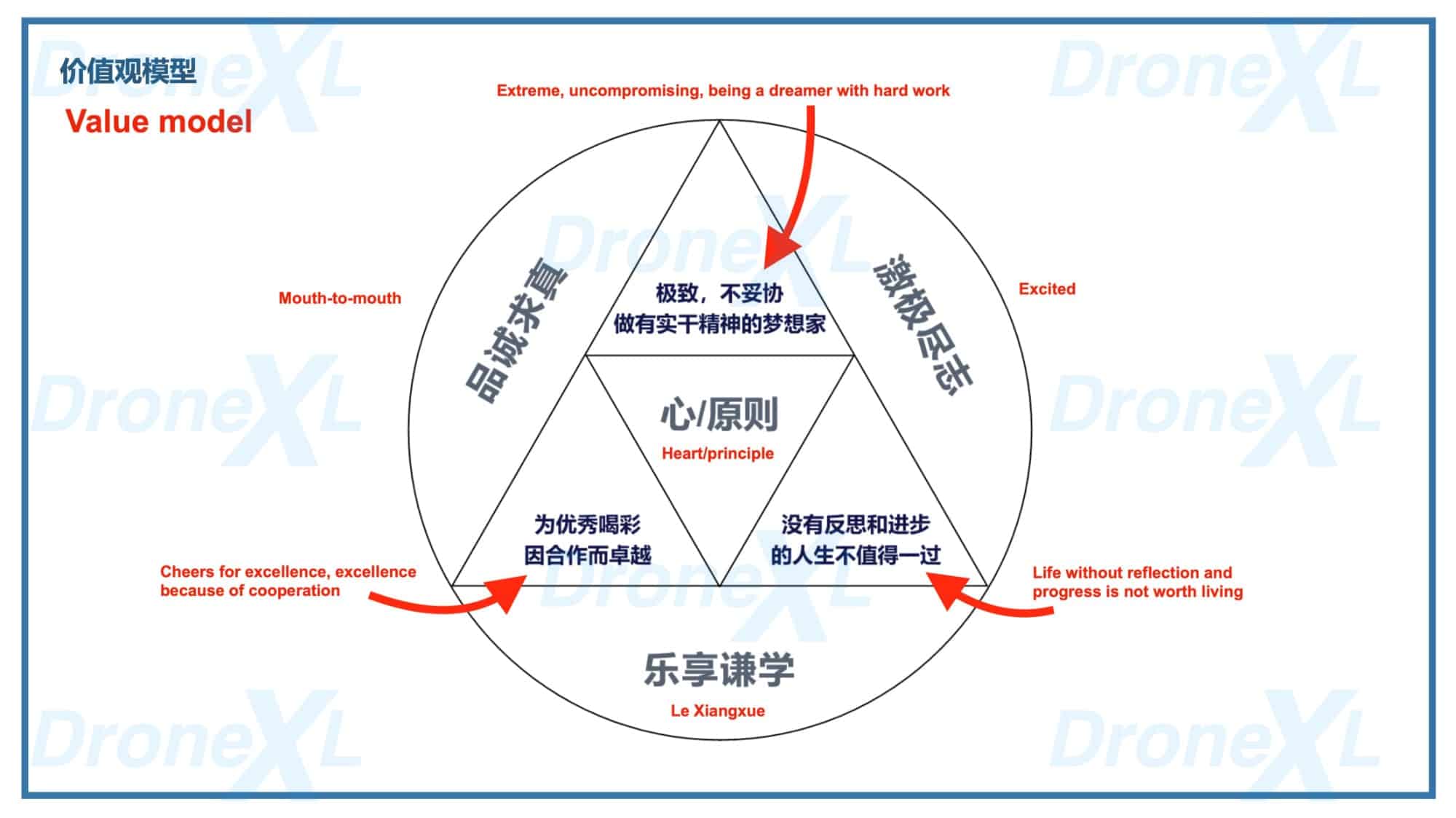 DJI's 'Vision and Values' document