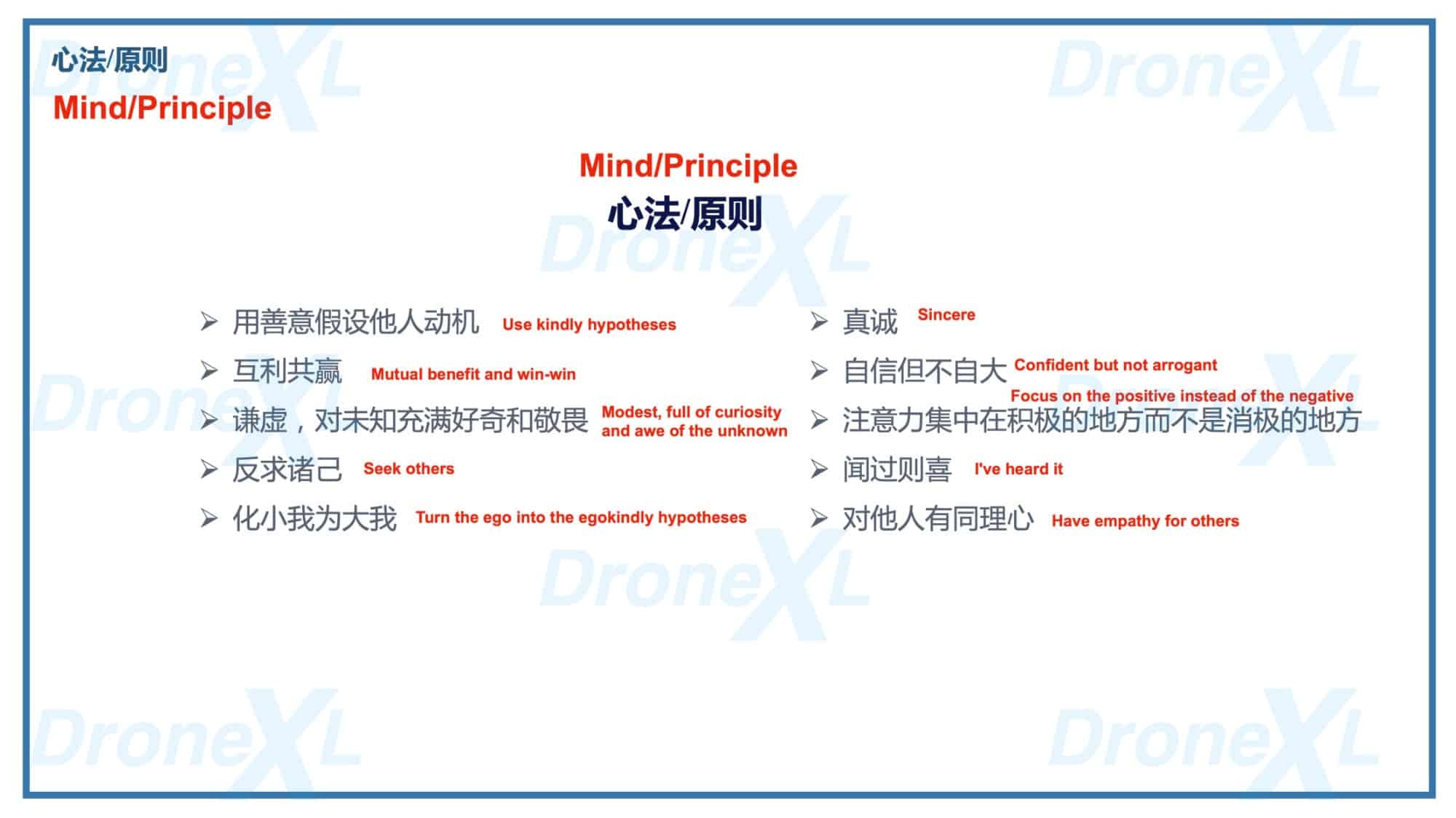 DJI's 'Vision and Values' document