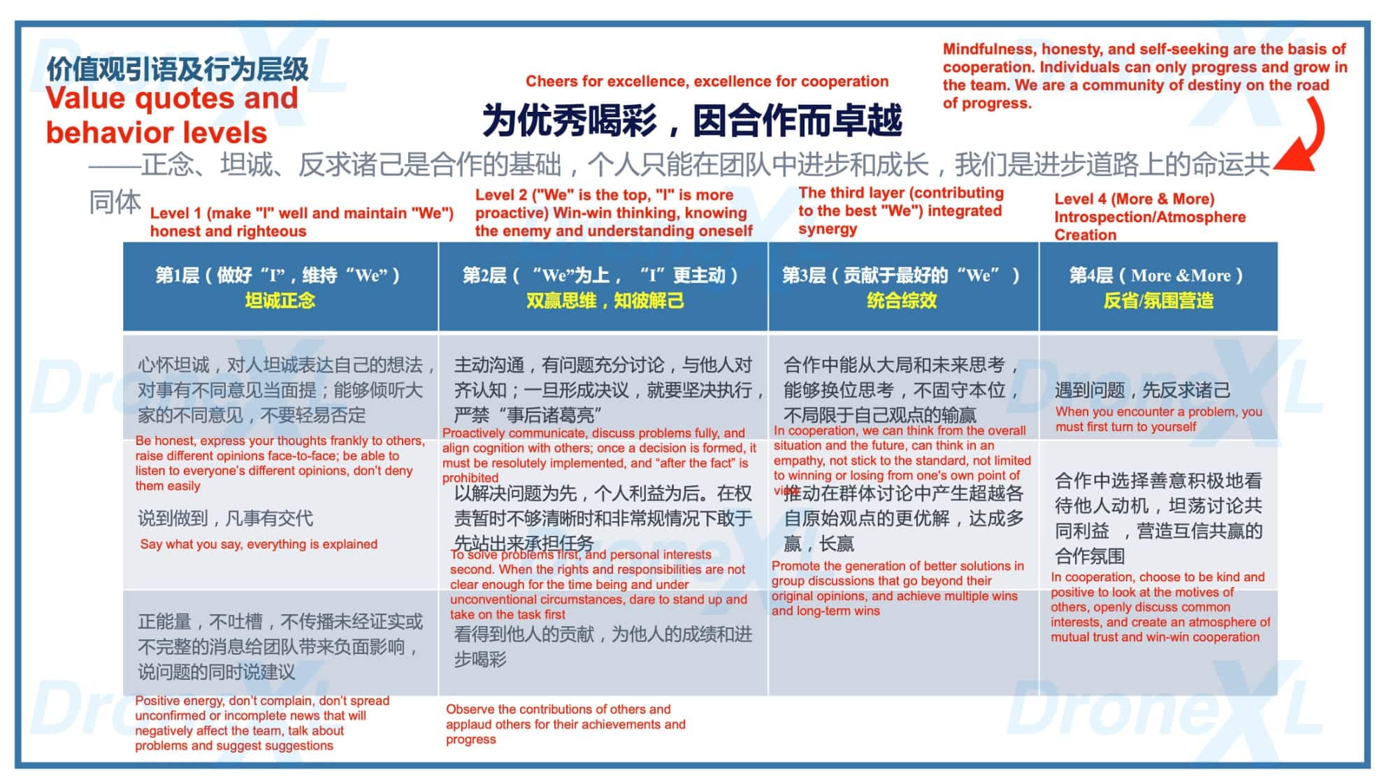 DJI's 'Vision and Values' document