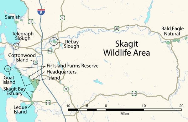 Aerial view captured during Washington State's drone survey of 1,200 acres of Skagit marshland.