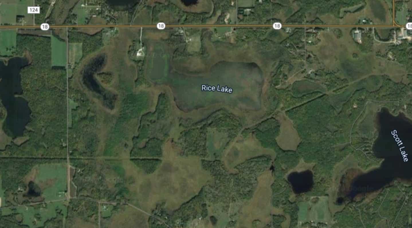 Satellite map showing Rice Lake and the surrounding marshland and county roads.