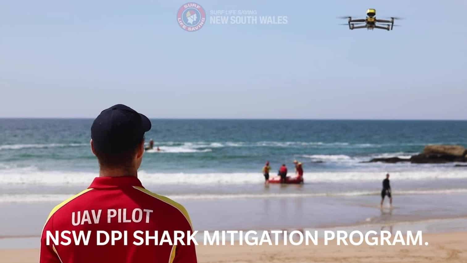 A Surf Life Saving NSW pilot watches his drone patrol the beach.