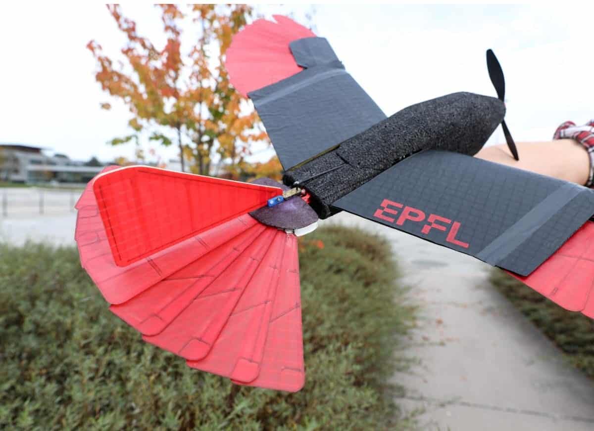 The EPFL morphing-wing drone held by hand, red feathered tail fanned wide.