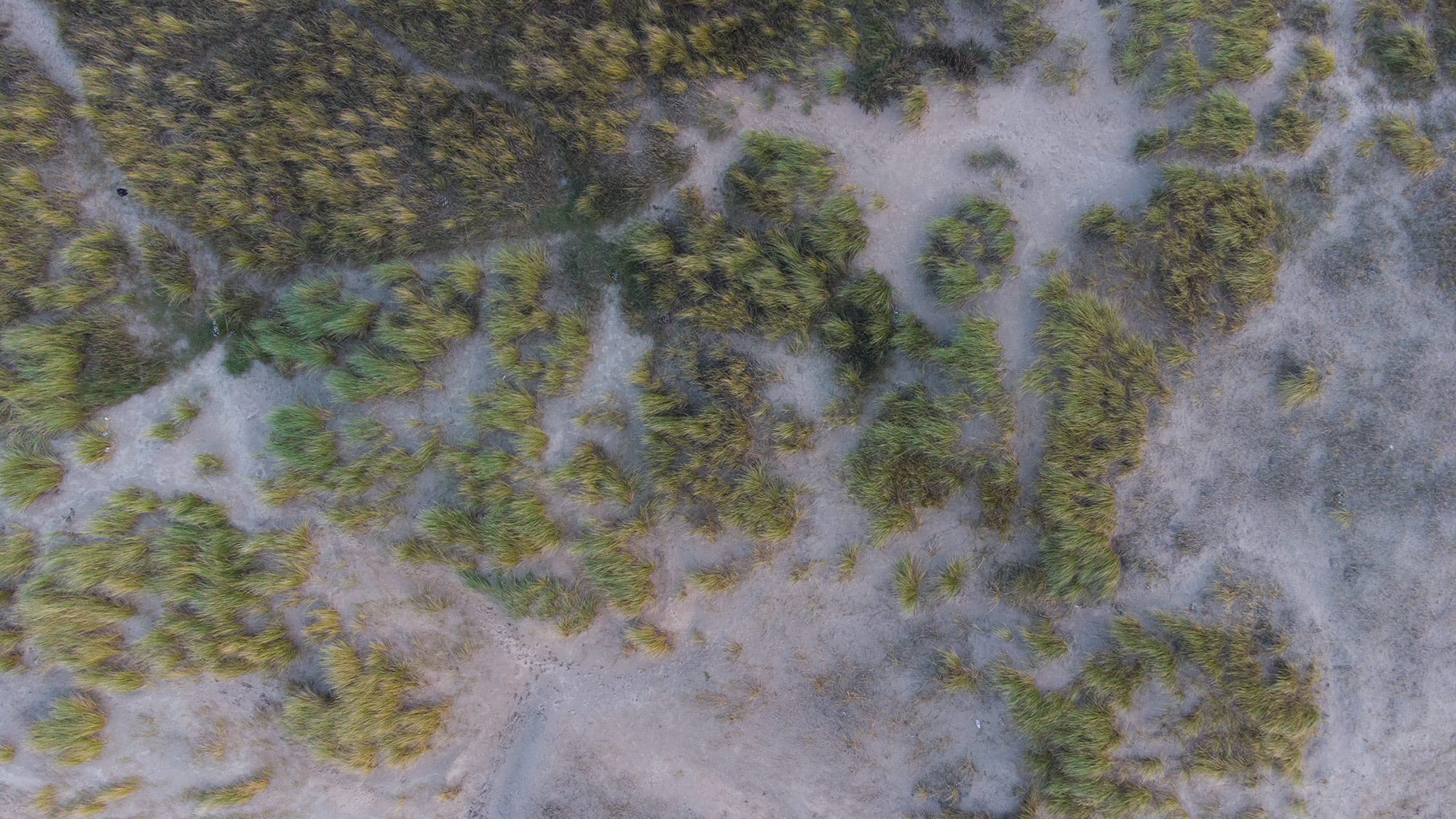 DJI Mini 2 review: less is more