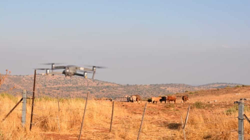 Folding drone hovering over dry pasture with cattle grazing in the distance.