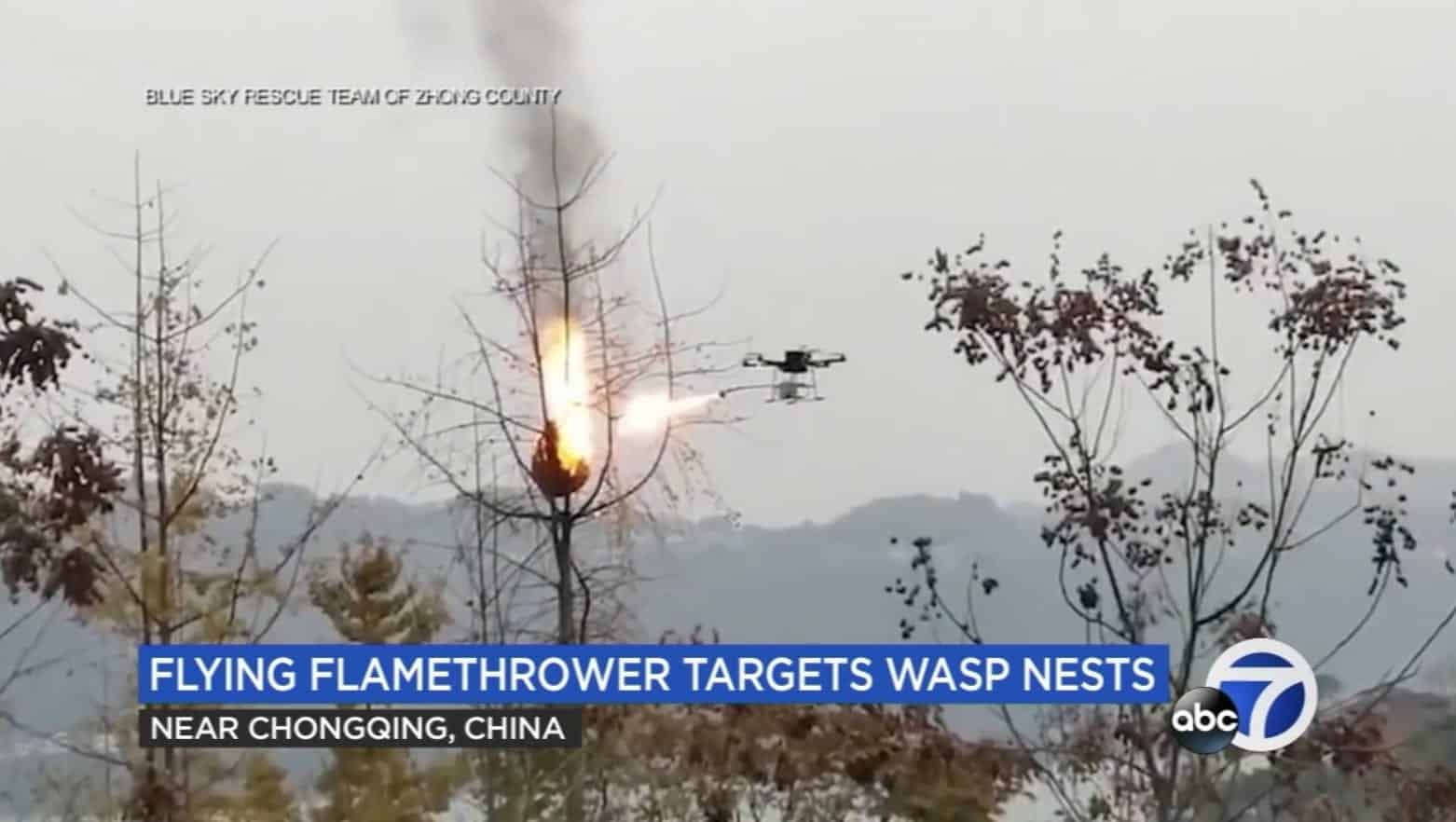 Flamethrower drone destroying wasp nests in a village near Chongqing, China.