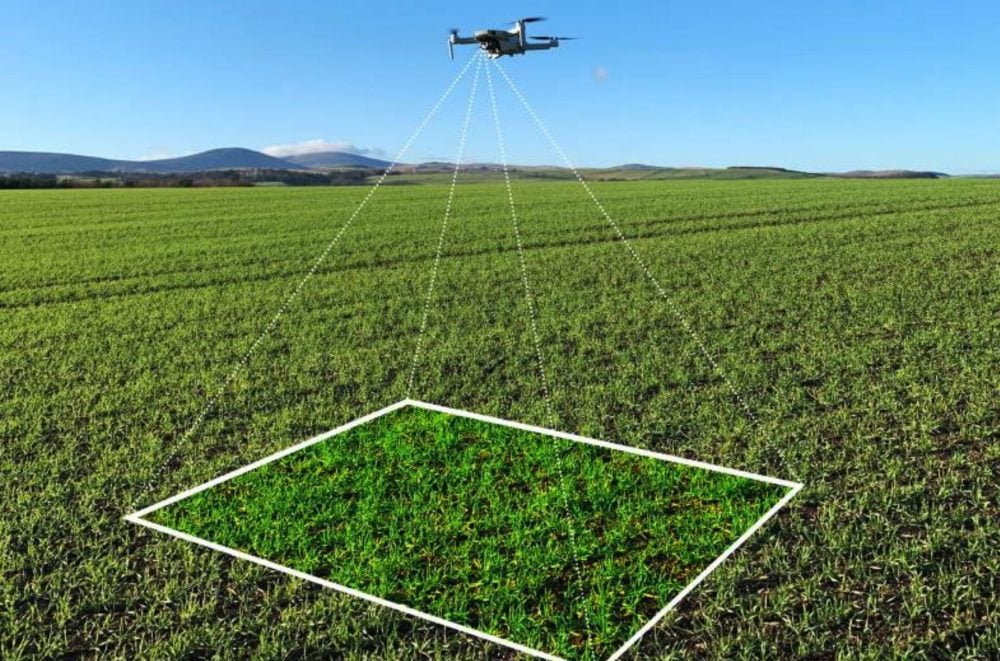 Artificial intelligence (AI) and drones are 10 times faster than traditional crop walking methods used by farmers to monitor the growth and health of their plants.