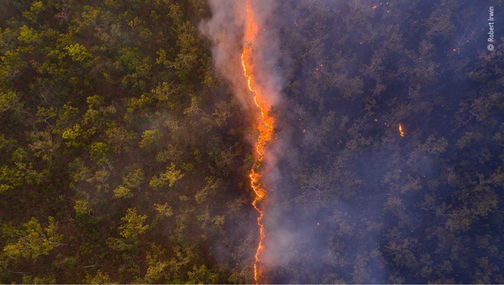 Robert Irwin's stunning drone photo was legal - Steve Irwin's son wins prize with bushfire drone photo