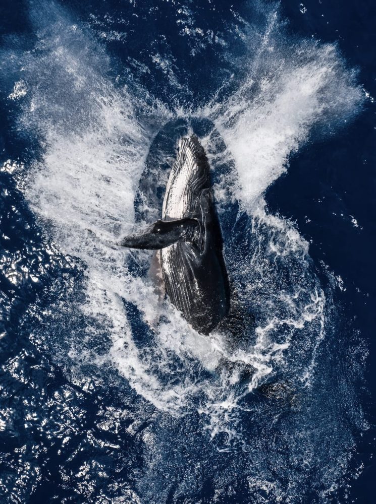 SkyPixel announces winners aerial photography and videography contest