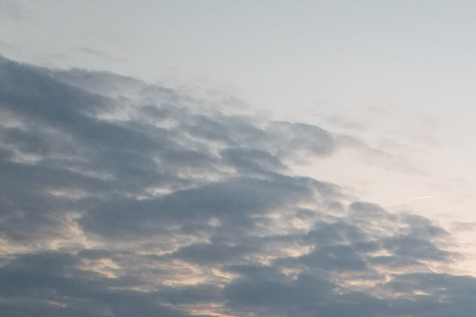 JPG recording, ISO 400, shutter speed 1/400, f / 2.8 (100% crop)
