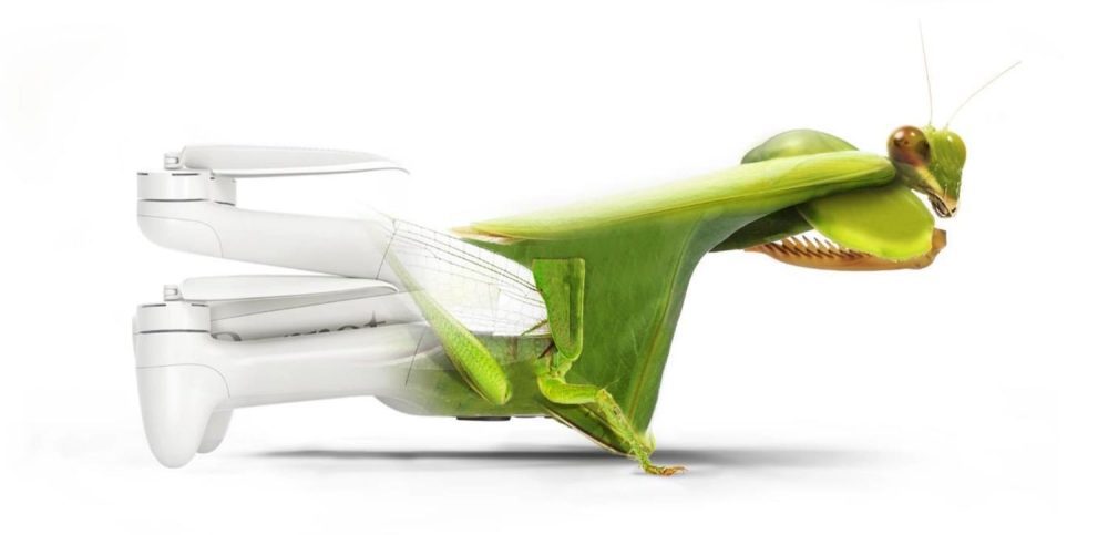 Parrot Anafi AI inspired by insects