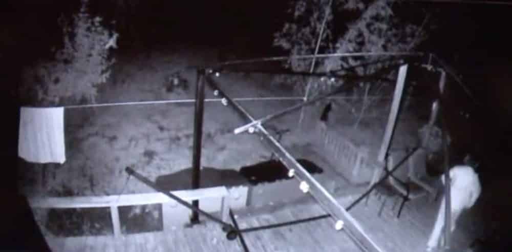 Grainy night surveillance still of a residential porch and driveway.