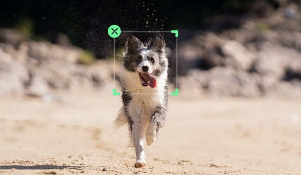 The OM 5 tracking a subject with ActiveTrack 4.0 in selfie mode.