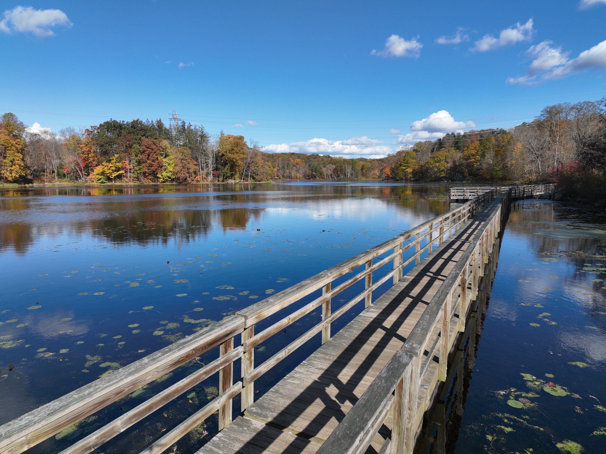 Mavic 3 sample photo of fall color, downloadable in JPG and DNG.
