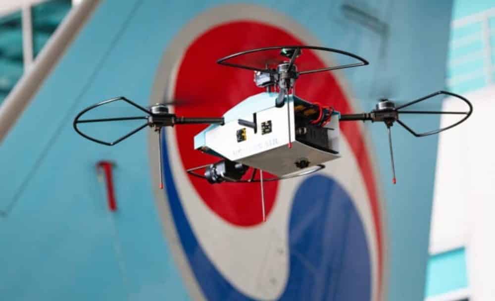 Small inspection drone with propeller guards hovering close to an airliner fuselage logo.