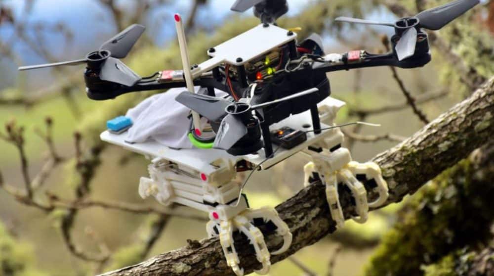 Bird-inspired robotic legs grip a mossy branch beneath a small quadcopter.