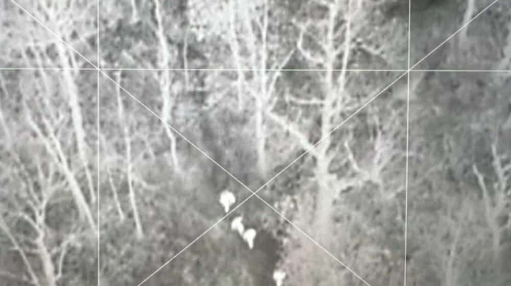 Thermal drone footage showing two bright human figures on a wooded hillside.