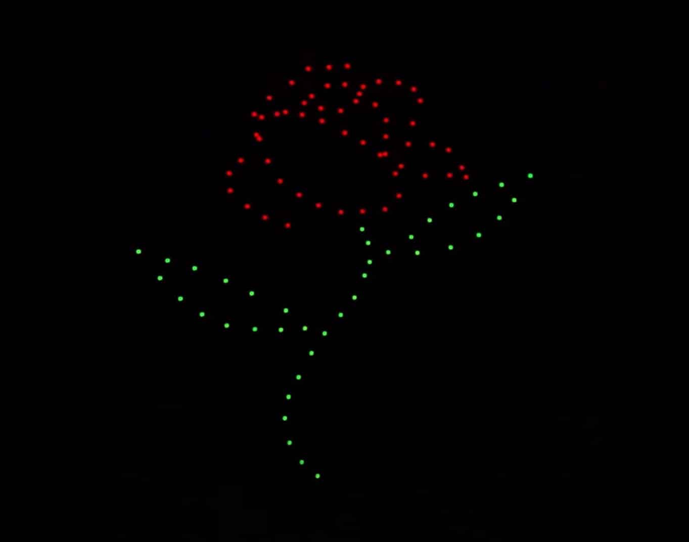 Drone light show forming a red rose with a green stem in darkness.