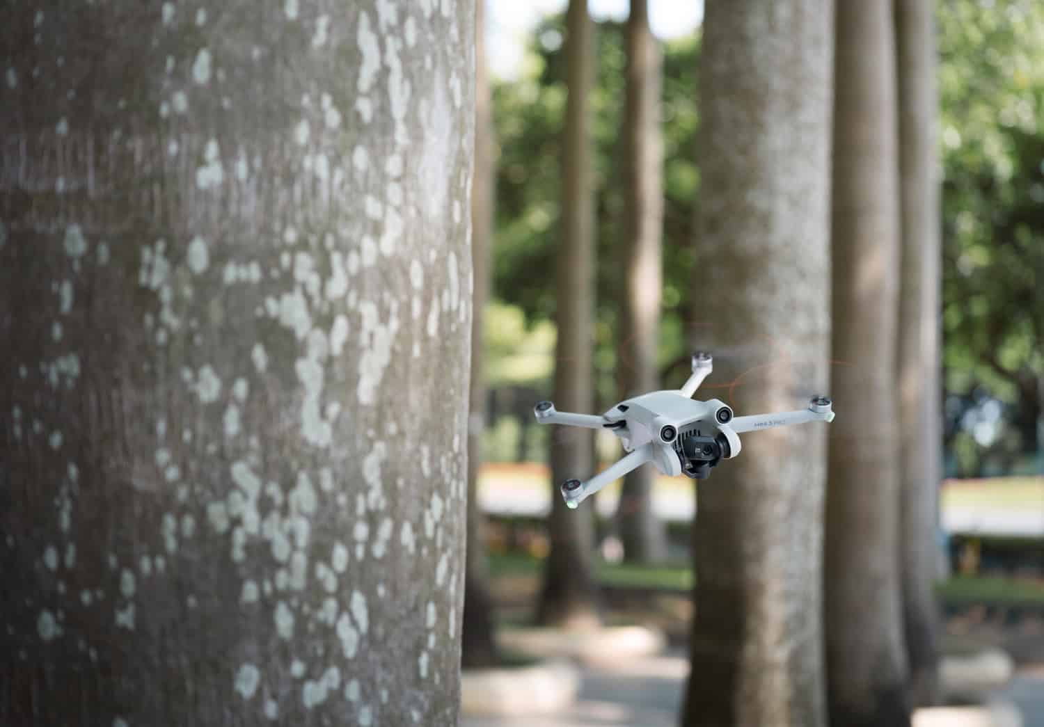 Mini 3 Pro in flight while its APAS 4.0 sensors watch for obstacles.