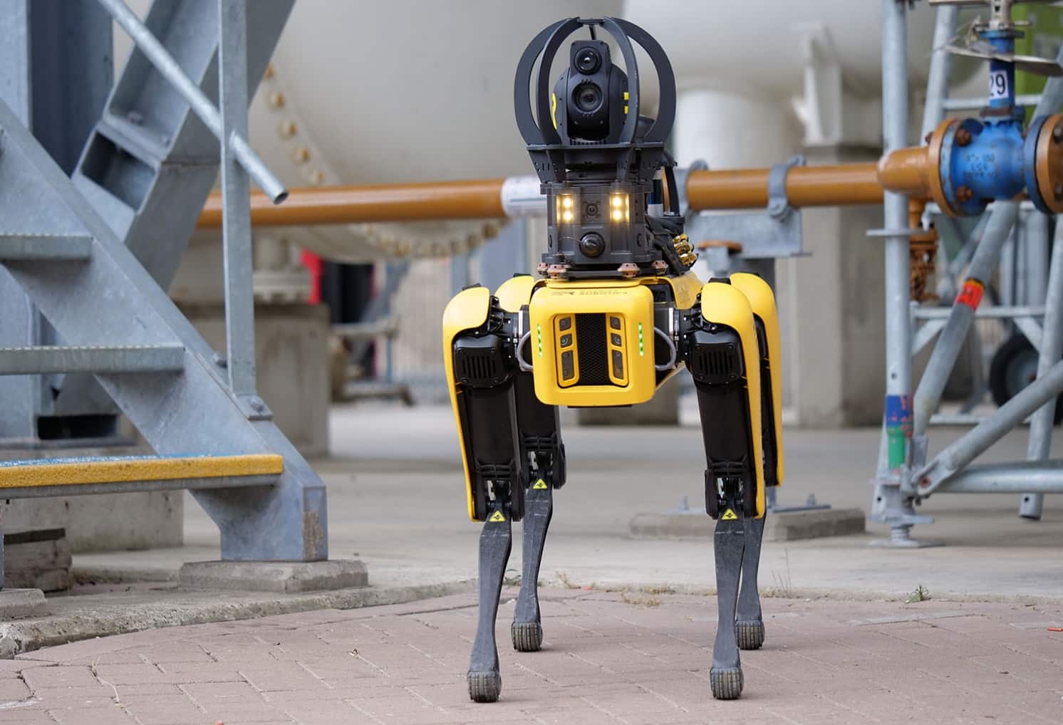 Spot, the four-legged robot from Boston Dynamics, at the Rotterdam challenge.