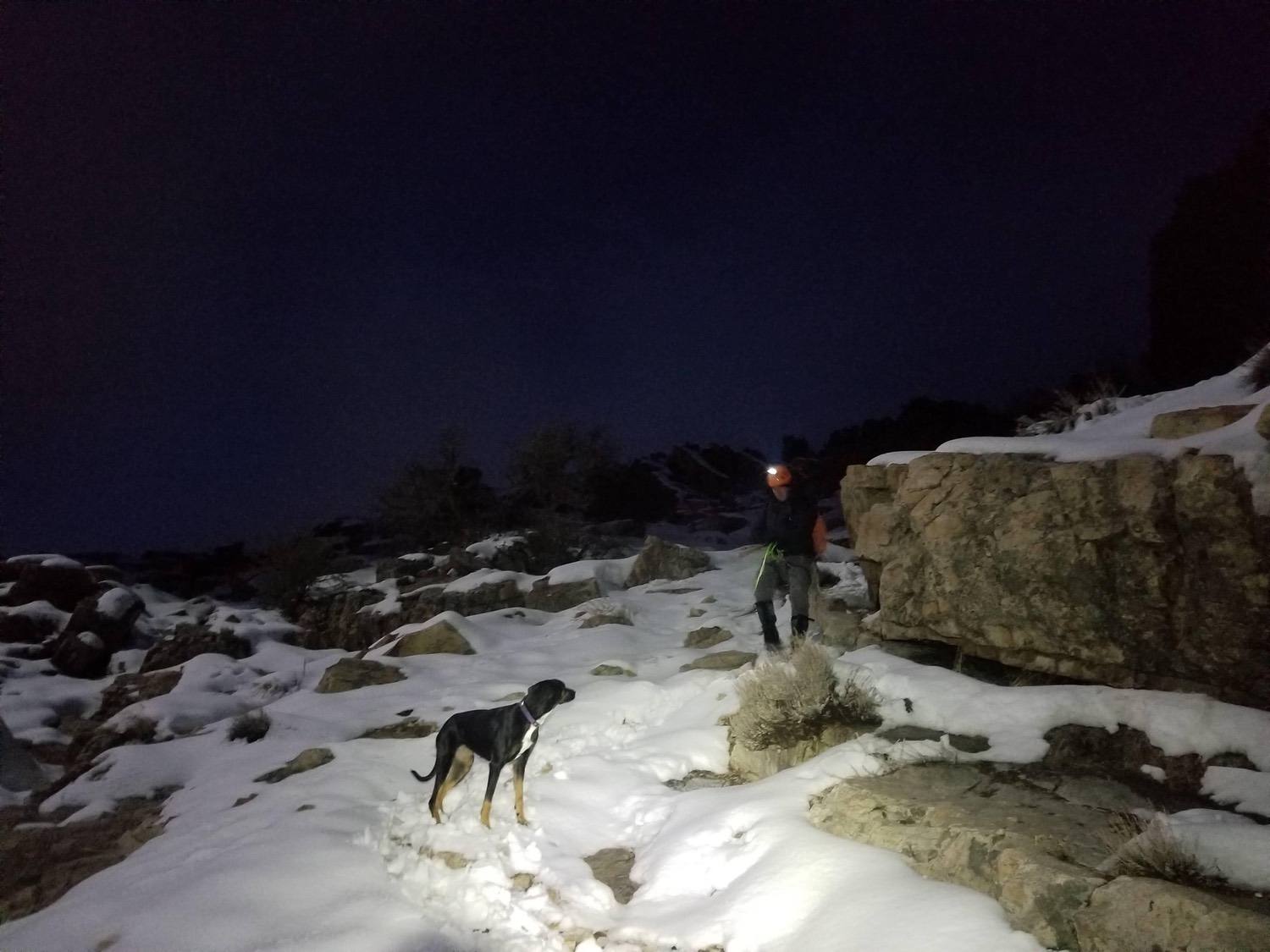 Search and Rescue Team Uses DJI Drones to Save Lost Dog in Utah