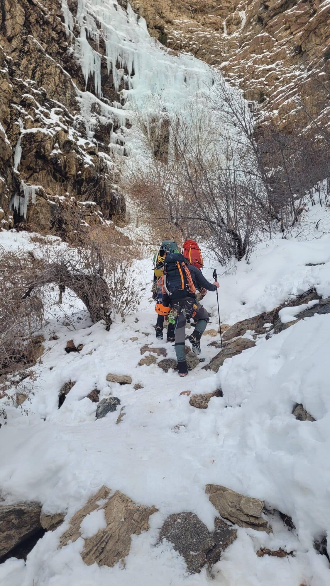Search and Rescue Team Uses Drone to Save Lost Dog in Utah