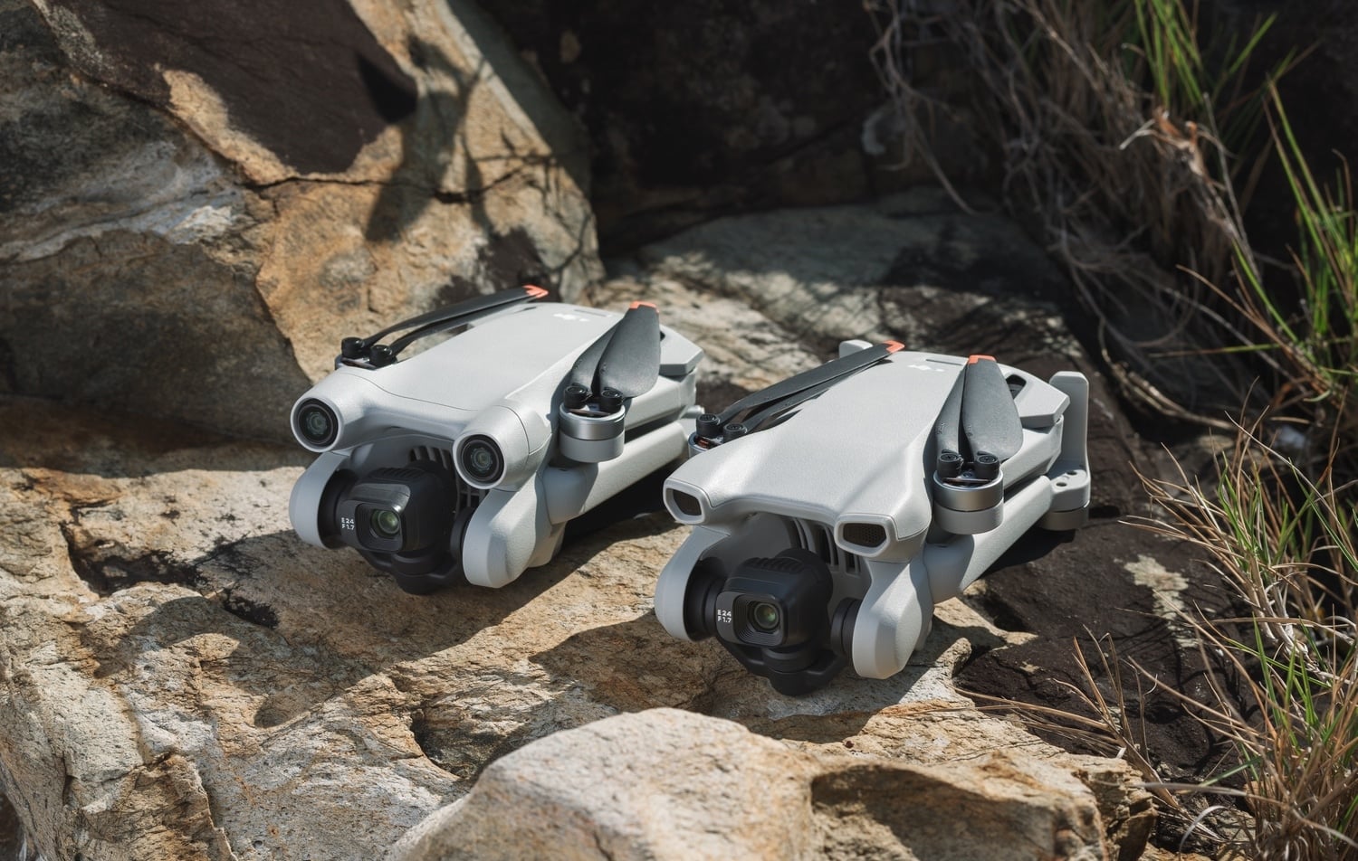 Two folded DJI Mini 3 drones rest on rocks among coastal grass.