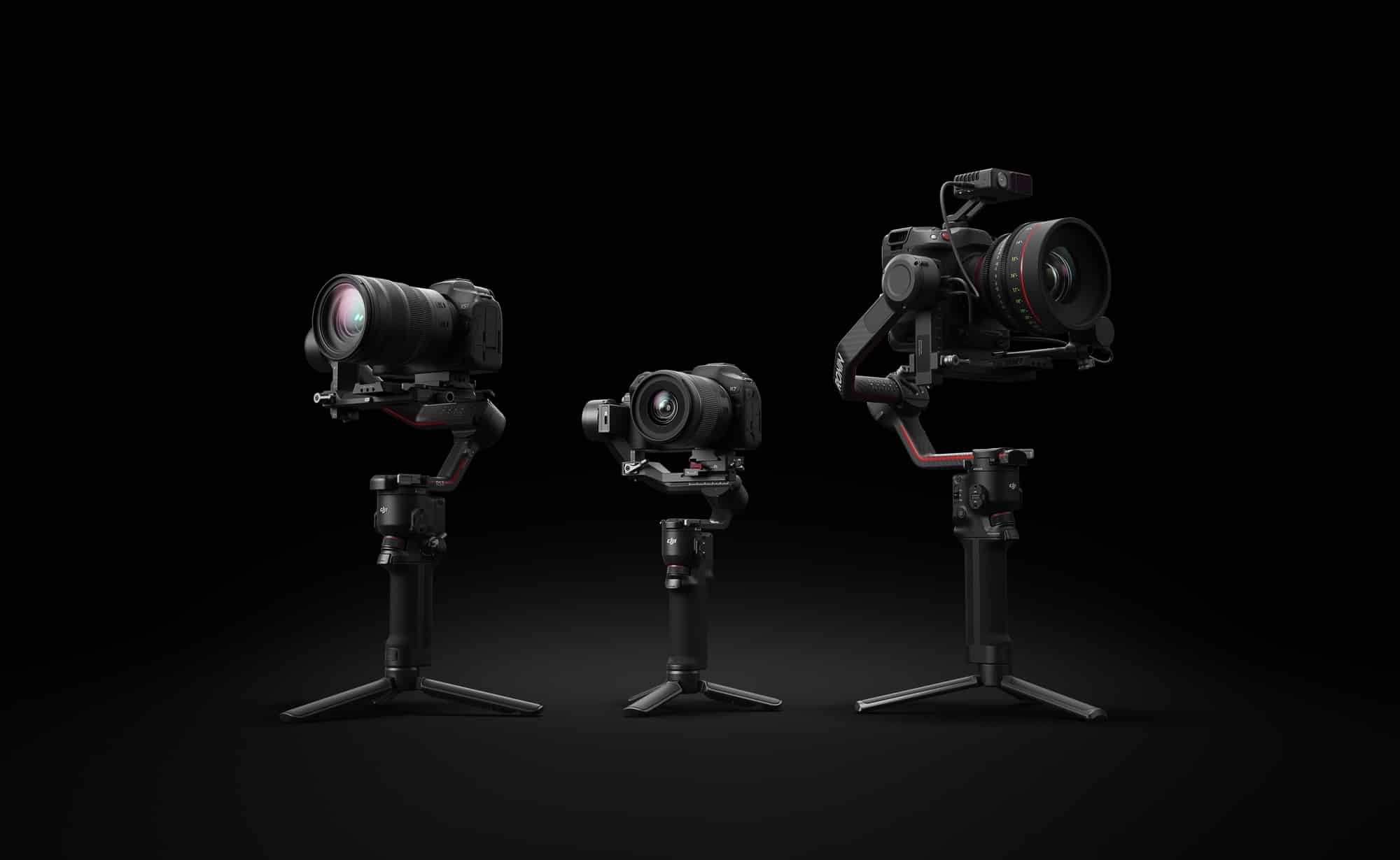 The DJI RS 3 Mini in vertical shooting mode using its dual-layered quick-release plate.