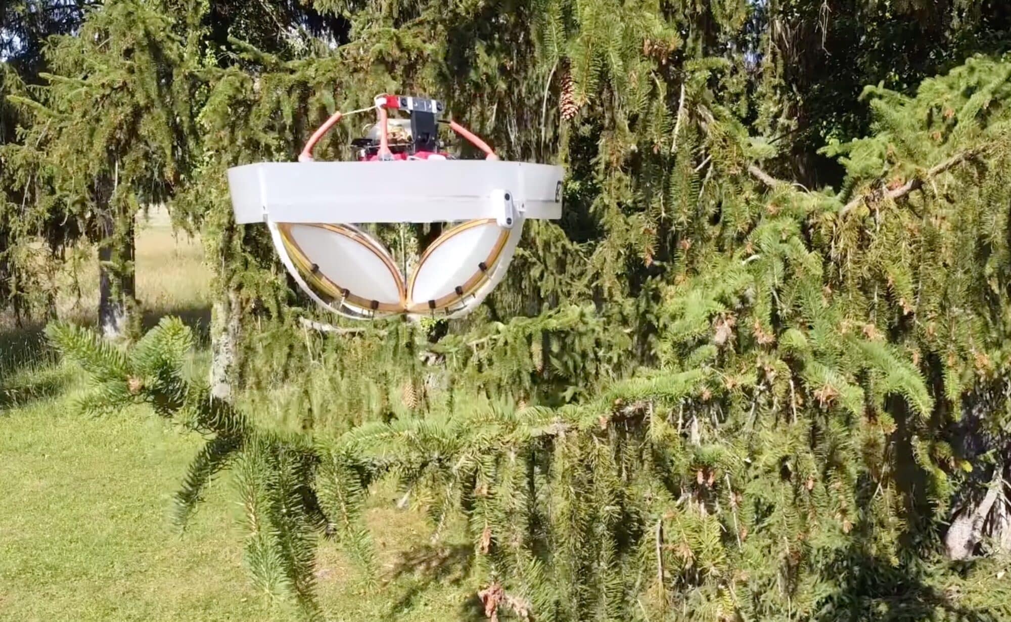 The force-sensing cage that lets the drone judge how flexible a branch is.