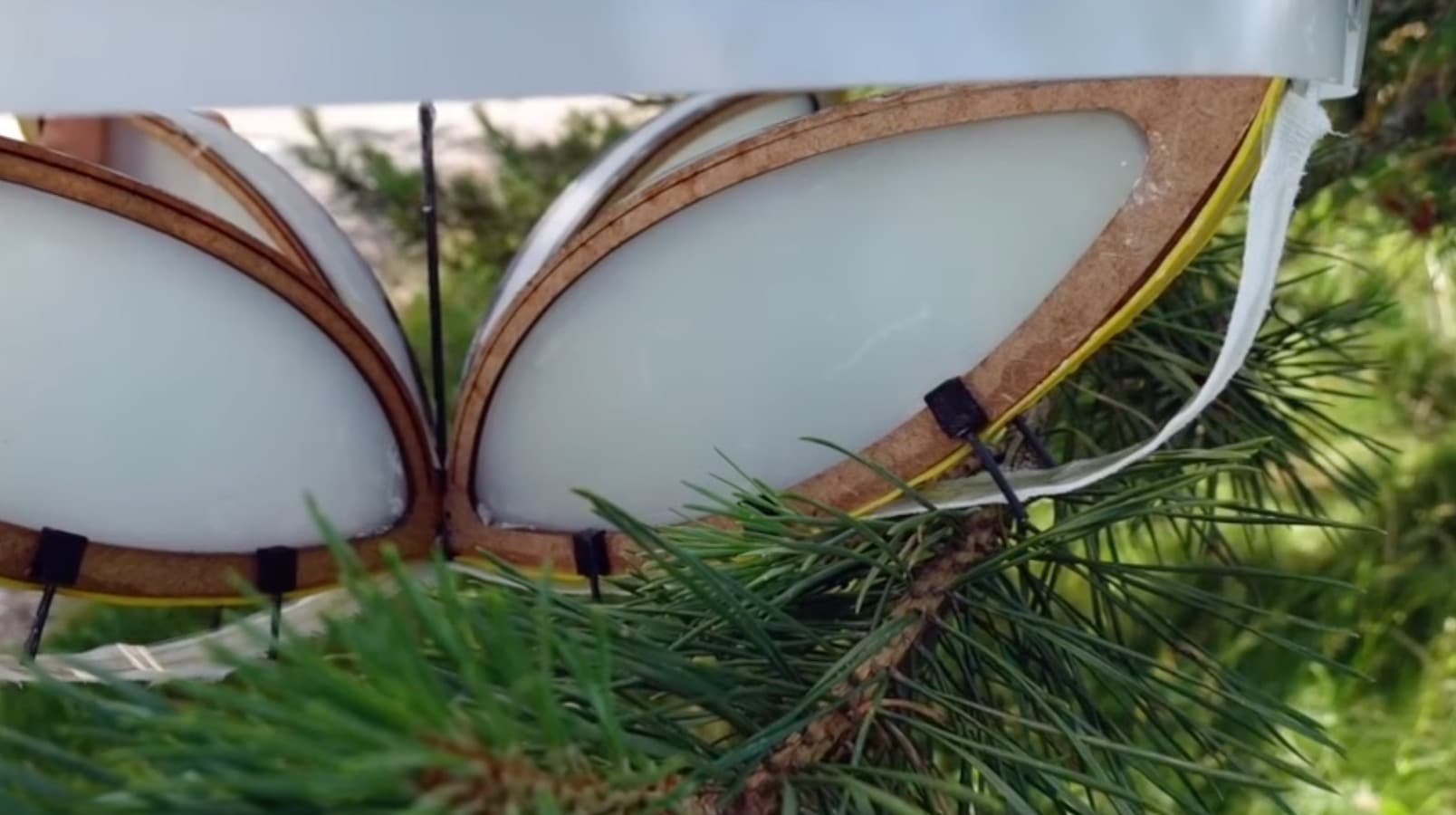 The ETH Zurich research drone perched on a branch to pick up genetic material.