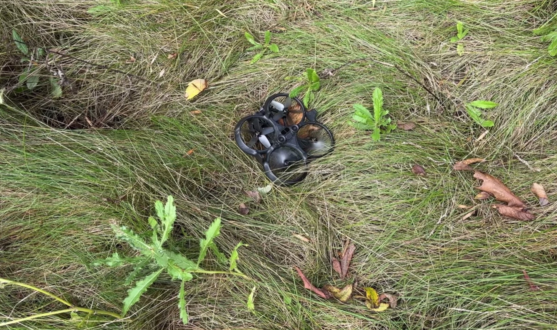 DJI Avata Long Term Review After 6 Months Of Flying Turtle Mode