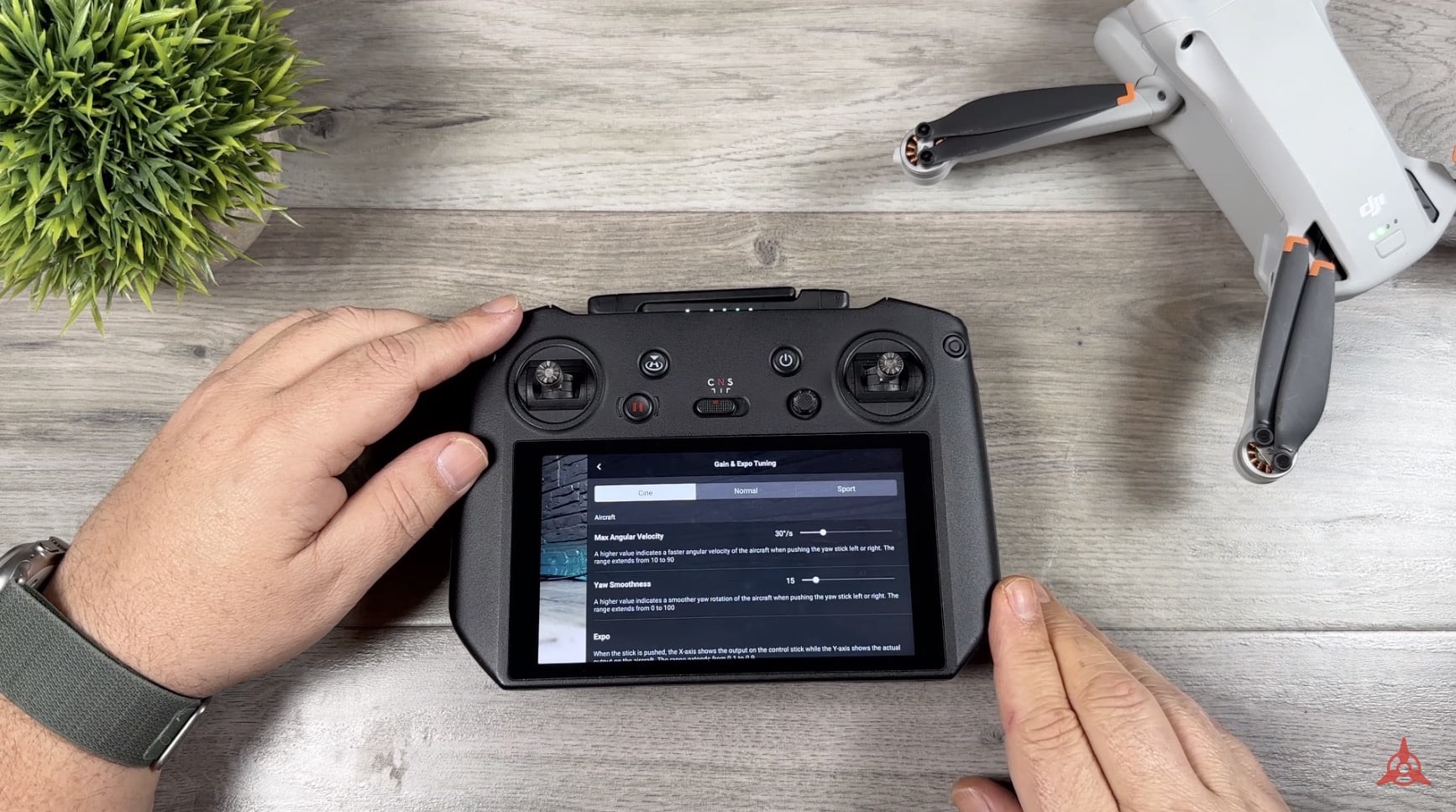 How about the DJI RC Pro and the DJI Mini 3 Pro?