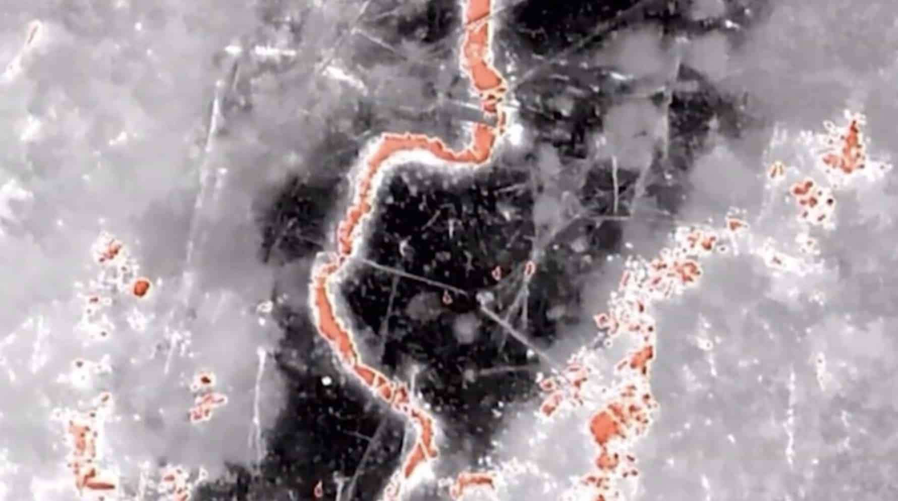 Thermal drone view of a wooded hillside with warm objects highlighted in orange.