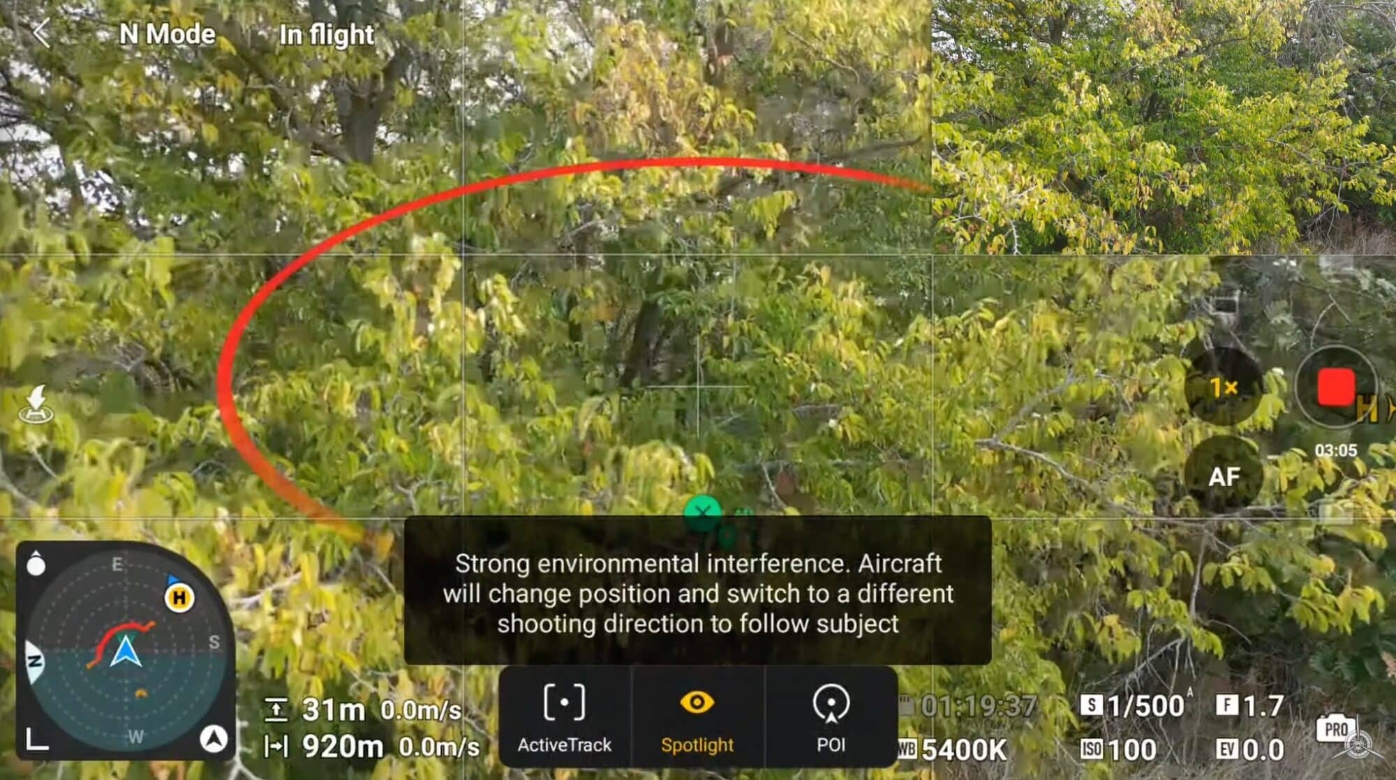 DJI Mini 4 Pro flies into tree with ActiveTrack 360