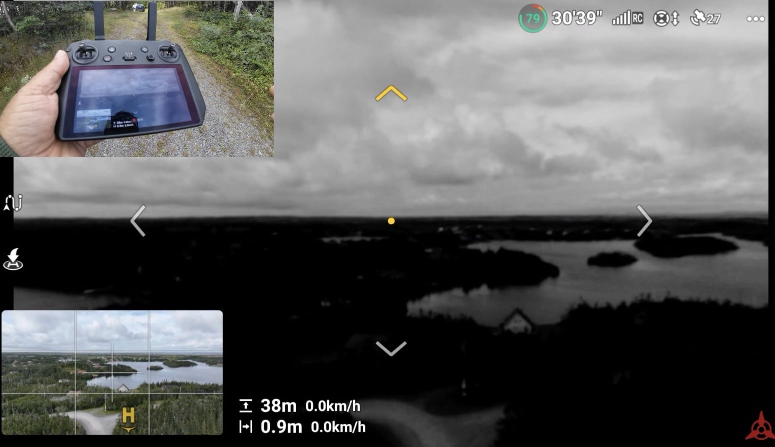 Vision Assist on the DJI Mavic 3 Pro, showing black-and-white views from the obstacle cameras.