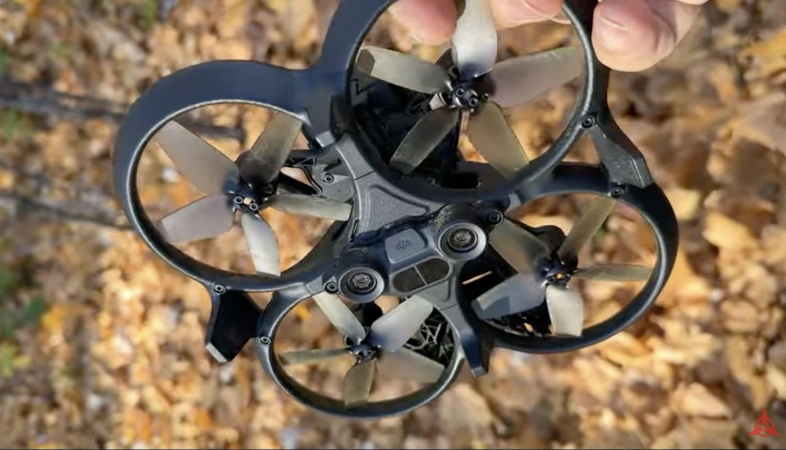 Hand holding a DJI Avata above fallen autumn leaves showing its ducted propellers.