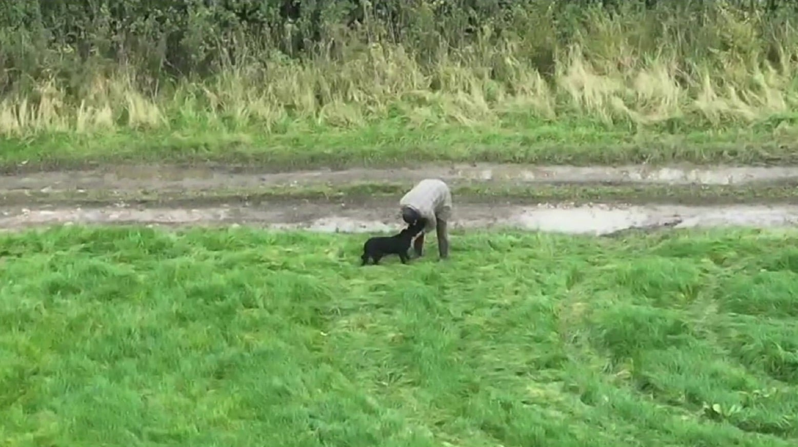 Molly, the blind Labrador found by a Drone to Home search team in Derbyshire.