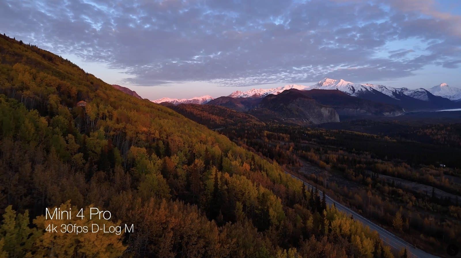 DJI Mini 4 Pro frame illustrating the 10-bit D-Log M color profile's image quality.