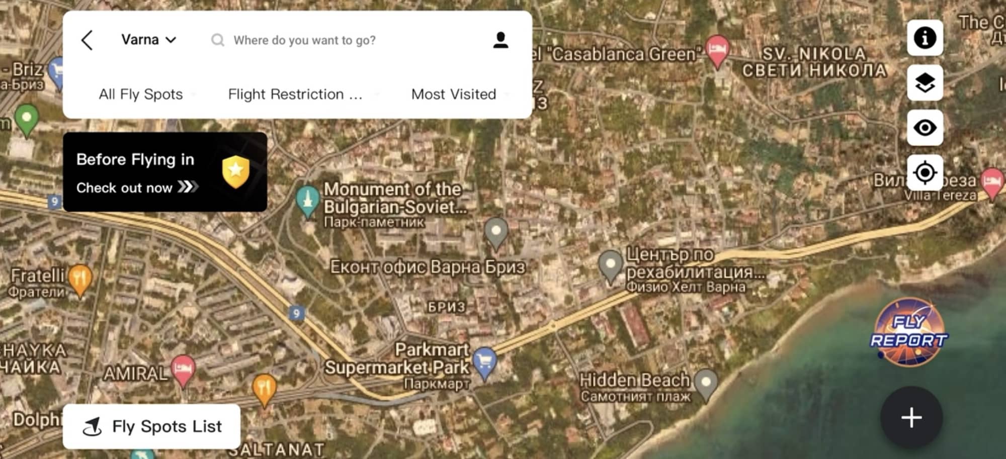 Satellite map view among the DJI Fly app flying spot layers.