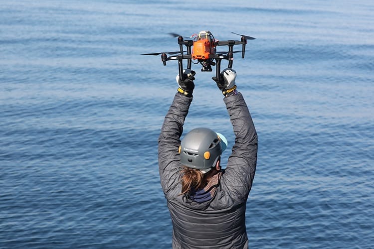 Heather Foley retrieves the research team's drone after a right whale monitoring flight.