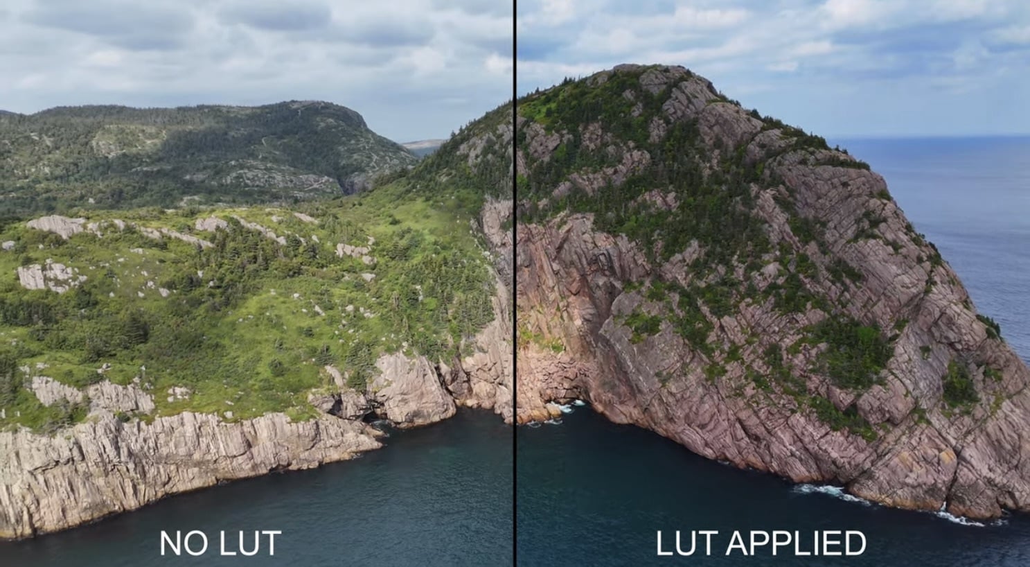 DJI Mini 4 Pro aerial footage graded with a built-in LumaFusion LUT.
