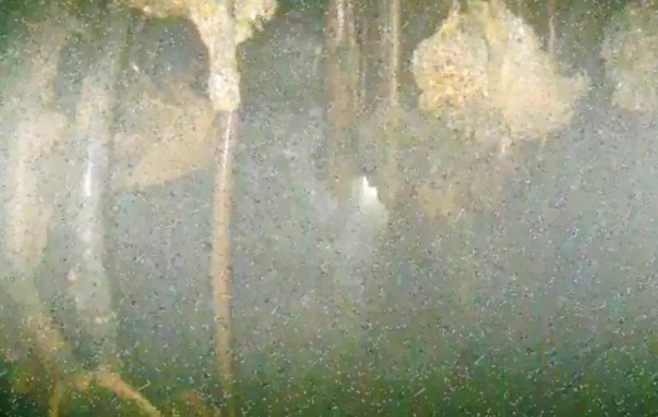 A small drone is used to inspect the inside of the Fukushima Dai-ichi nuclear plant. Photo courtesy of AP.